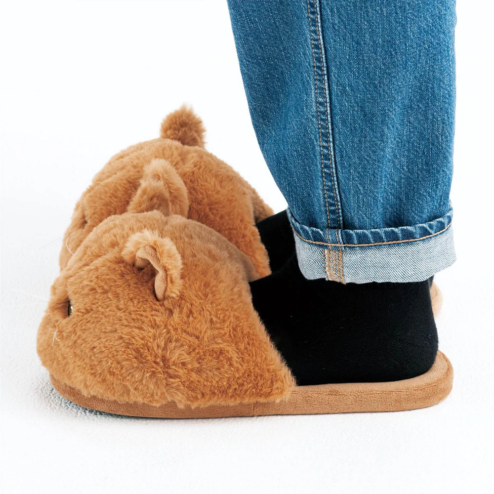 Lazy Cat Slippers 4