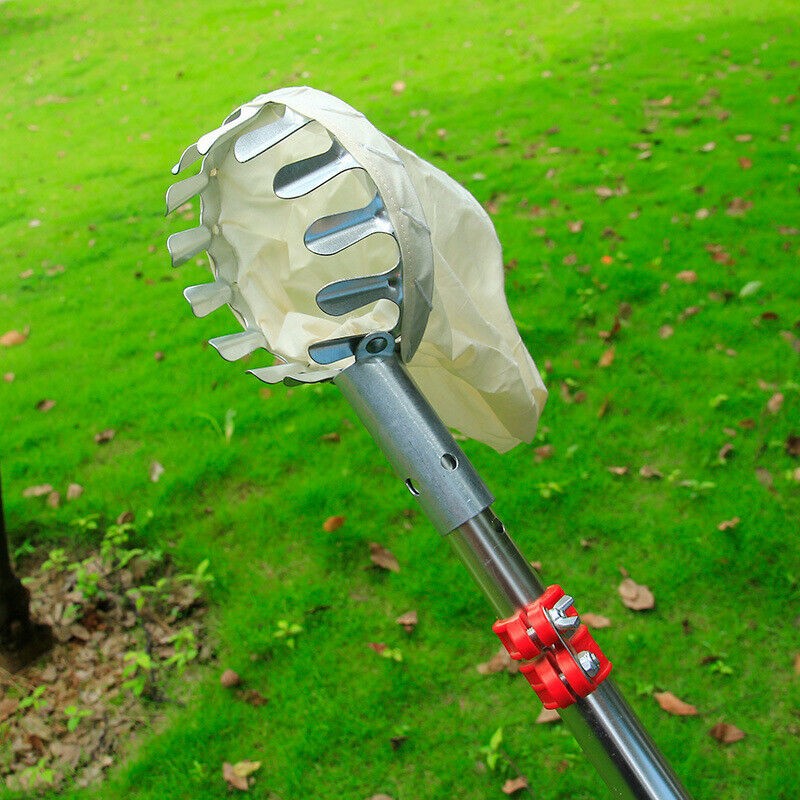 Fruit Picker Head 4