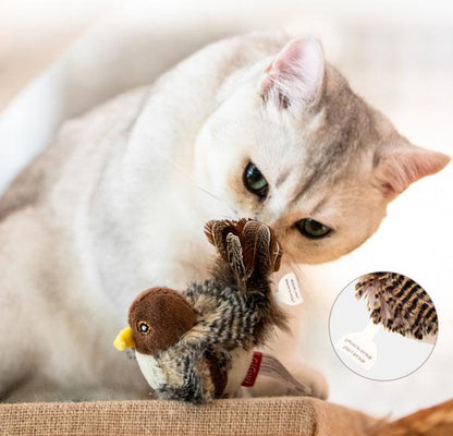 Singing Sparrow Shaped Bird  Cat Toy 4