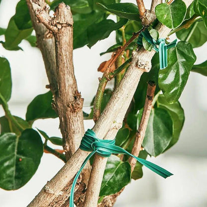 Garden Plant Fixed Rope 4
