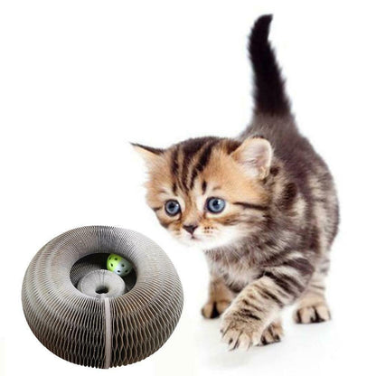 Magic Organ Cat Scratching Board 4