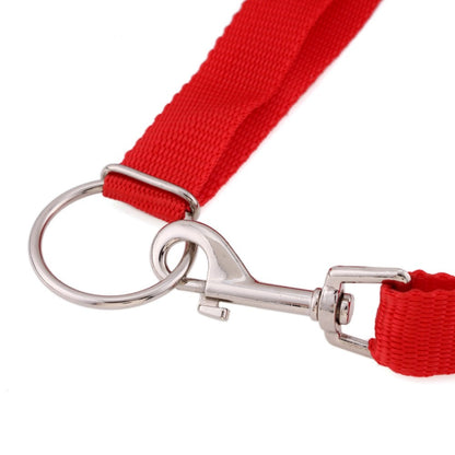 Instant dog trainer leash 4