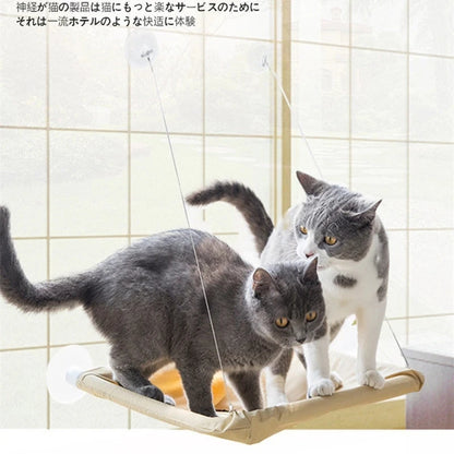 Cat Window Mounted Perch Hammock 4