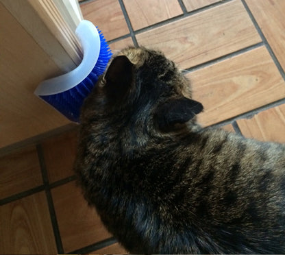 Cat Self-Grooming Brush 4