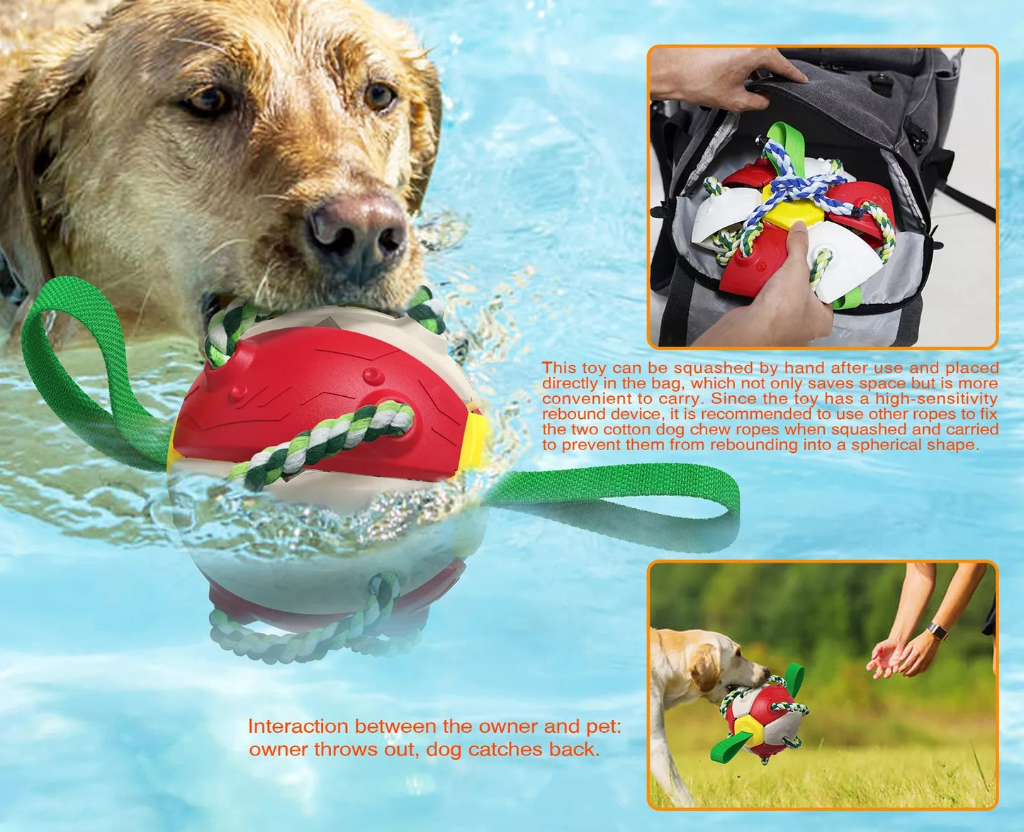 Interactive Dog Toy 4