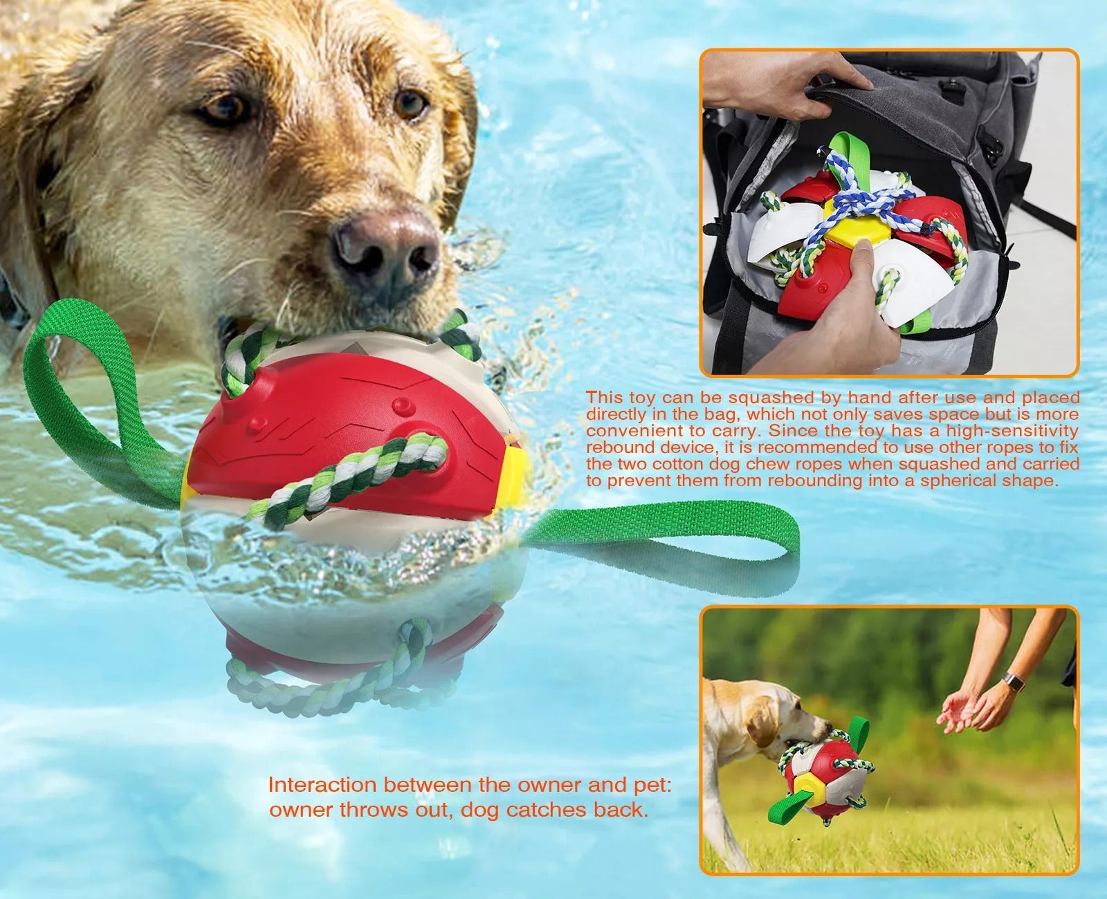 Interactive Dog Toy 4