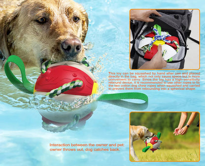 Interactive Dog Toy 4