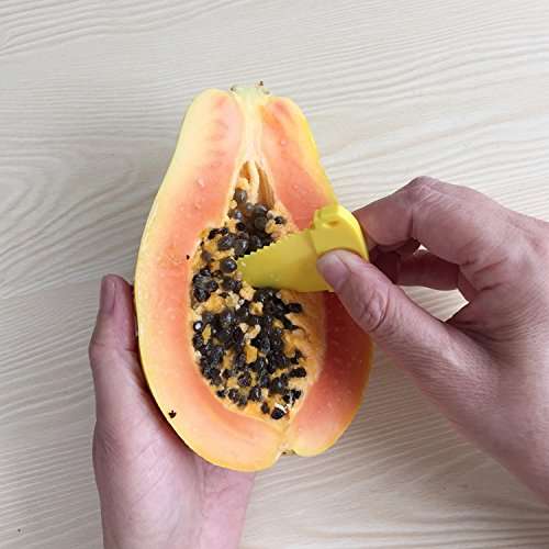 Kiwi Kutter 4