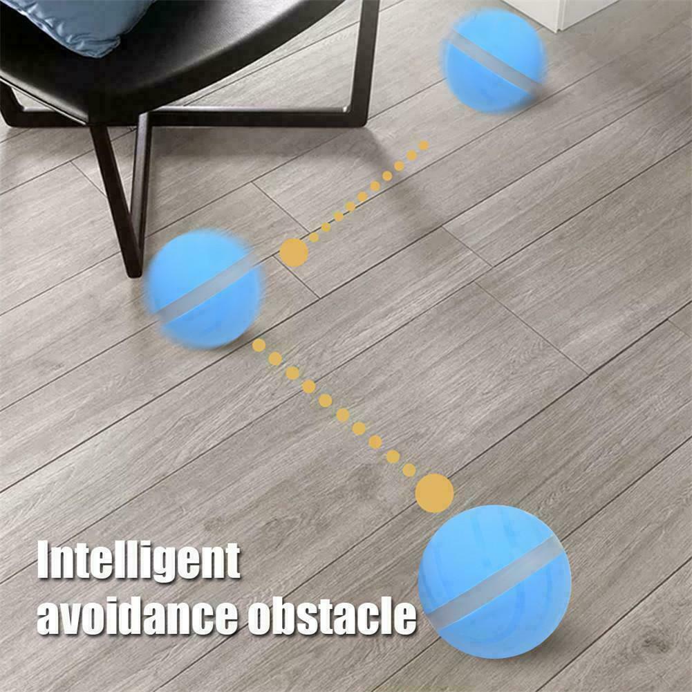 Motion Ball For Pets 4