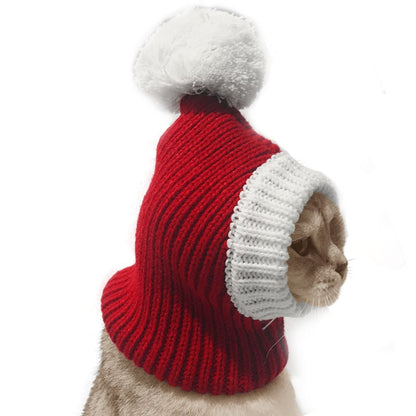 Stylish Pet woollen Hat 4