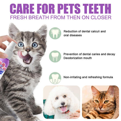 Pet Oral Cleaning Freshener Spray 3