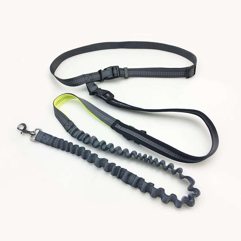 Handsfree Bungee Dog Leash 4