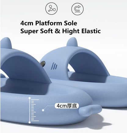 PREMIUM SHARK SLIDES 4