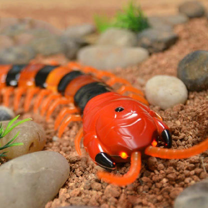 CAT TOYS - REMOTE CONTROL INSECT 4