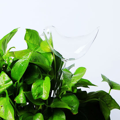Self-Watering Plant Glass Bulbs(2Pcs) 4