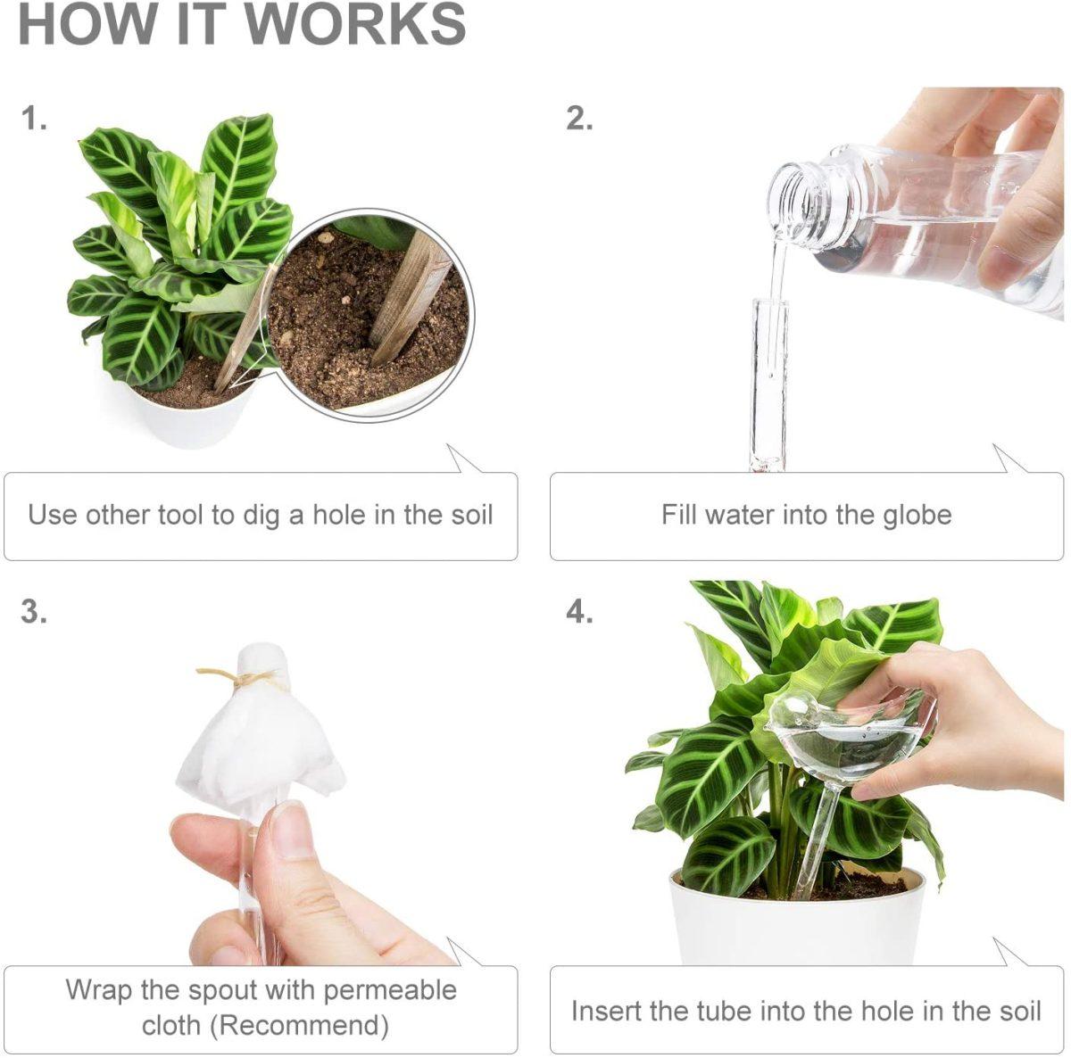 Self-Watering Plant Glass Bulbs 4