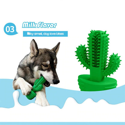Cactus Dog Toothbrush 4