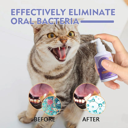 Teeth Cleaning Spray for Dogs & Cats 4