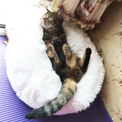 Deluxe Plush Bed 4