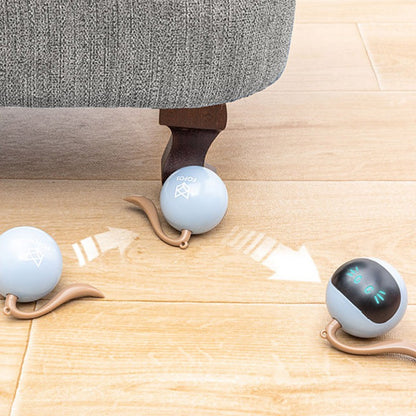 Interactive Self-Rolling Ball Cat Toy 4