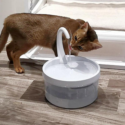 Pet  Fountain 4