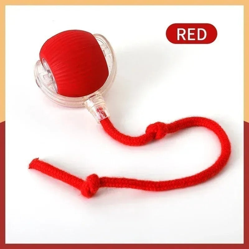 Rollraptor interactive pet toy ball 5