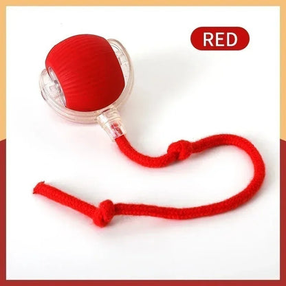 Rollraptor interactive pet toy ball 5