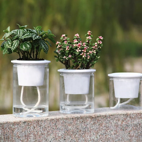 Hydroponic Flowerpot 5