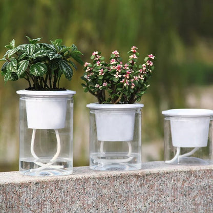 Hydroponic Flowerpot 5