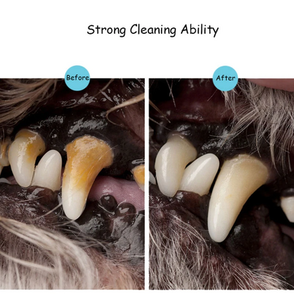 Pet Dog/Cat Teeth Cleaning Pen 5
