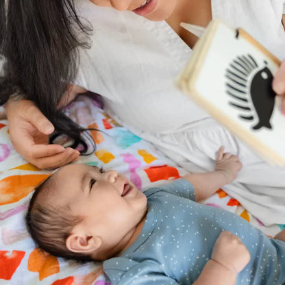 Flashcards for Baby Visual Sensory Development 5