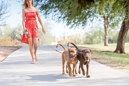 Dual Retractable Reflective 3M Dog Leash with LED Light 360° Tangle-Free 5