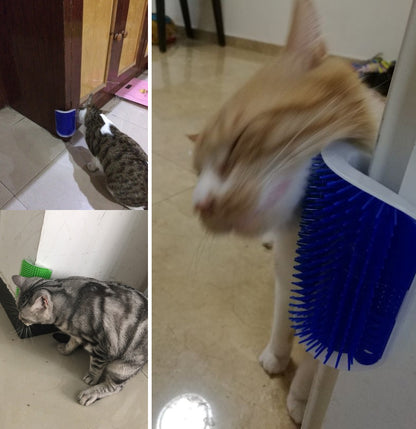 Cat Self-Grooming Brush 5