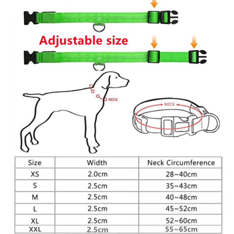 LED Flashing Dog Collar 5