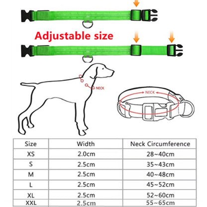 LED Flashing Dog Collar 5
