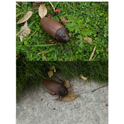 Remote Controlled Cockroach 5