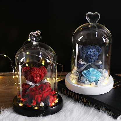 DearBear 3