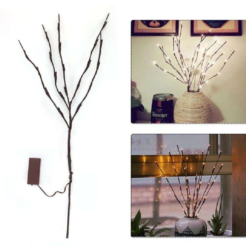 Lit Branch 5