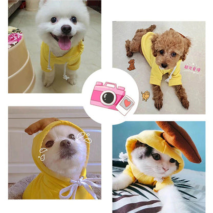 Purrfect Pet Hoodies 4