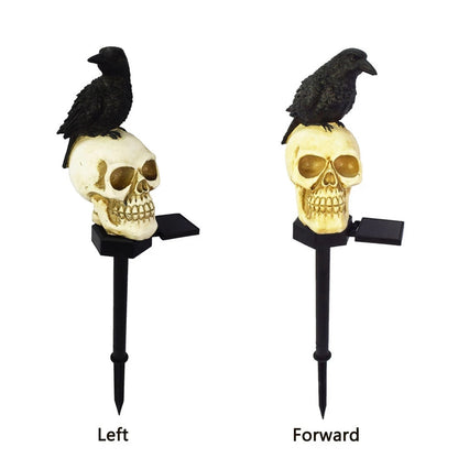 Solar Skull Light 5