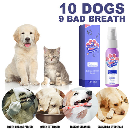 Pet Oral Cleaning Freshener Spray 4