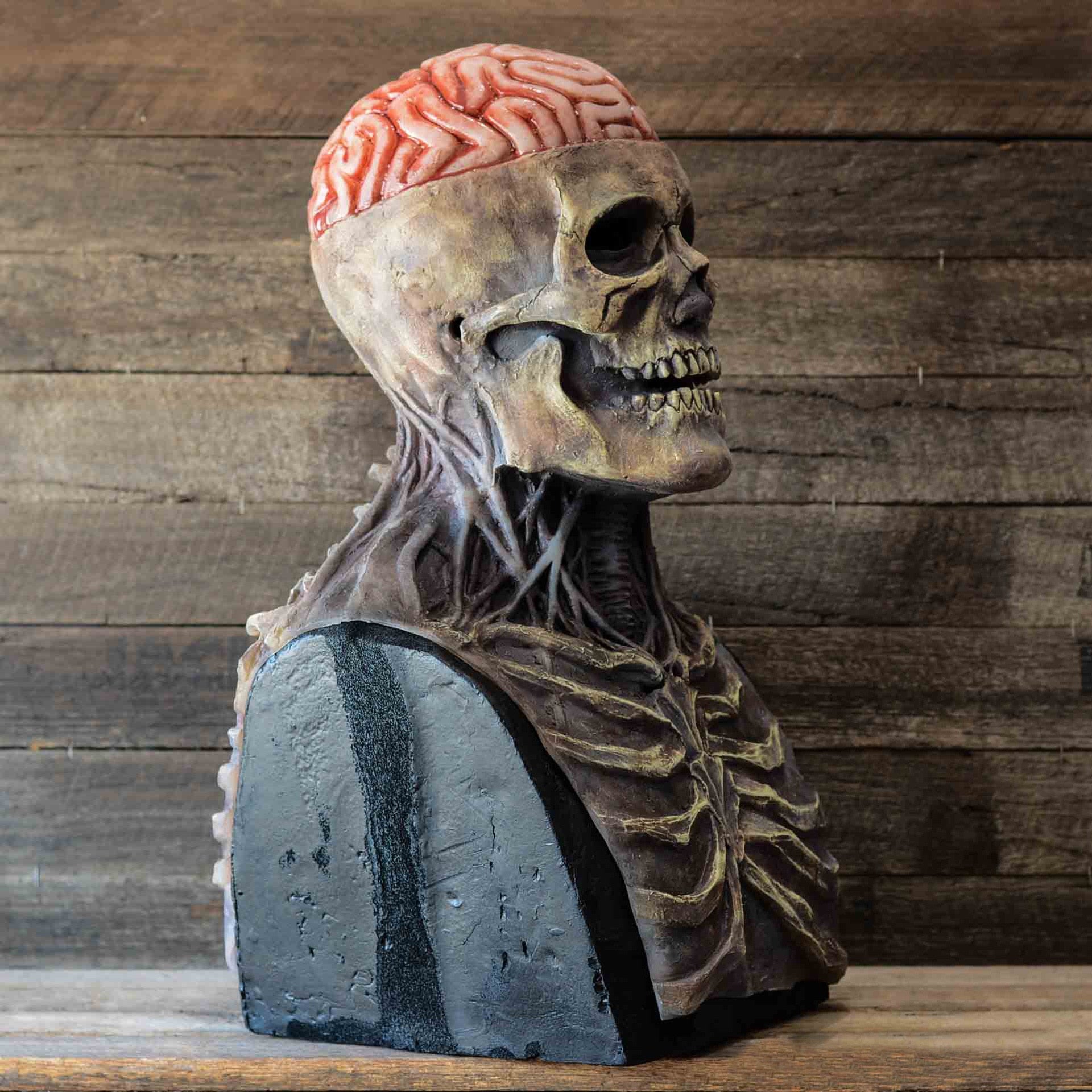 Skeleton Mask 5