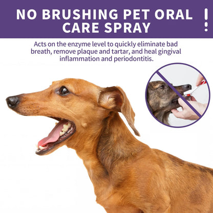 Teeth Cleaning Spray for Dogs & Cats 5