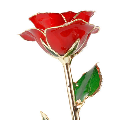 24k Gold Dipped Rose 5