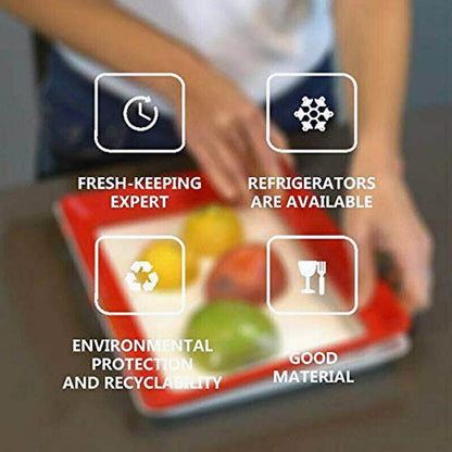 Creative Food Preservation Tray- 4Pcs 5