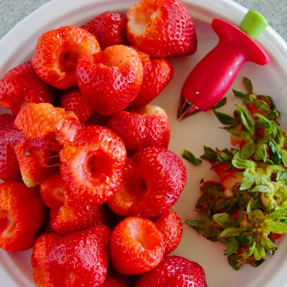 Strawberry Core Remover 5
