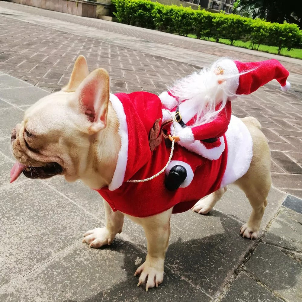 Santa Claus Pet Custom 3