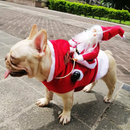 Santa Claus Pet Custom 3