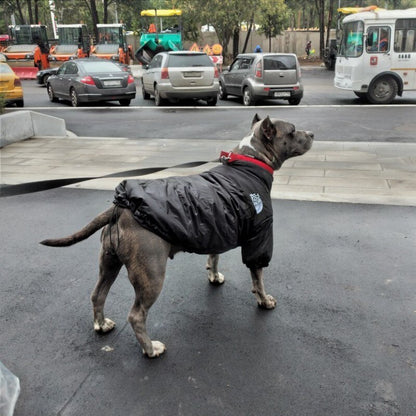 Dog Face Puffer Coat 5