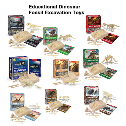 Dinosaur Fossil Digging Kit 5